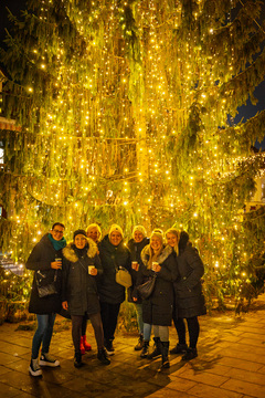 Prednovoletni koncert  (51)